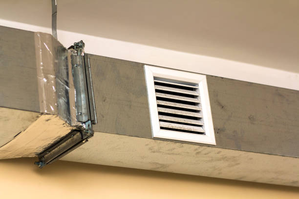 Air Duct Mold Removal in FL